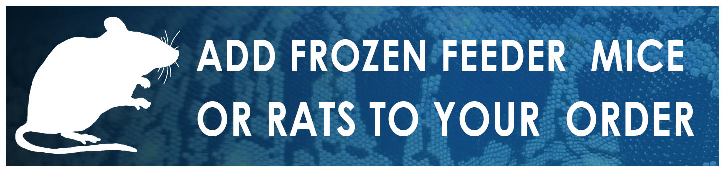 Frozen Fuzzy Feeder Mice for Sale - Snake, Lizard, Reptile Food
