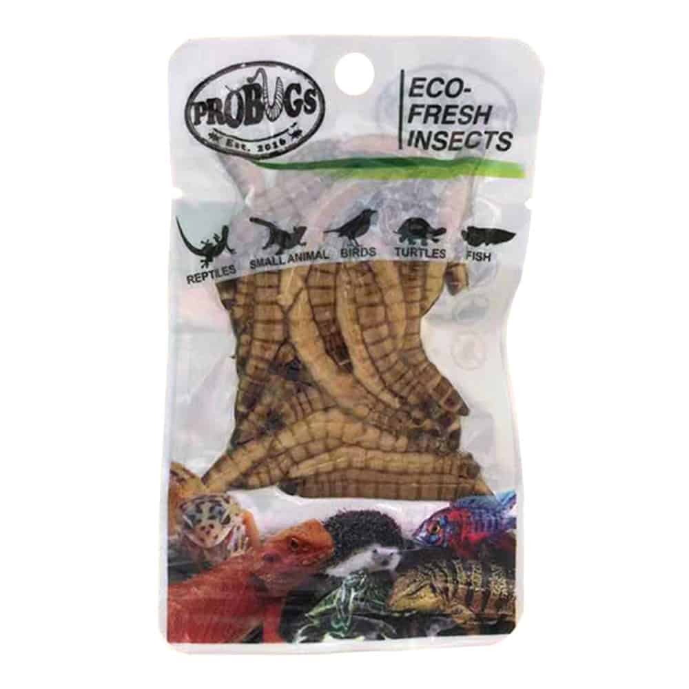 ProBugs Eco-Fresh Superworms - Underground Reptiles