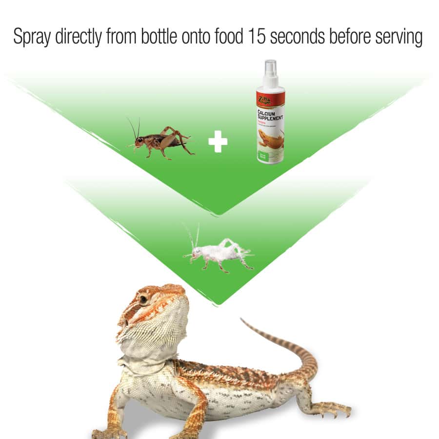 Reptile Calcium Supplement Spray - 8oz Liquid Calcium For Lizards & Amphibians
