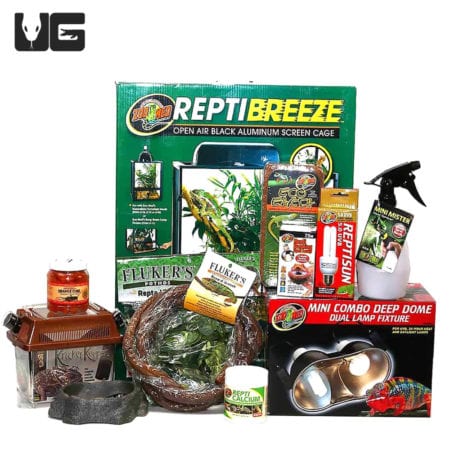 Chameleon Setup For Sale - Underground Reptiles