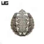 Baby Mississippi Map Turtles (Graptemys pseudogeographica kohni) For Sale - Underground Reptiles