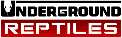 Underground Reptiles Logo 2021