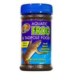 Aquatic Frog Tadpole