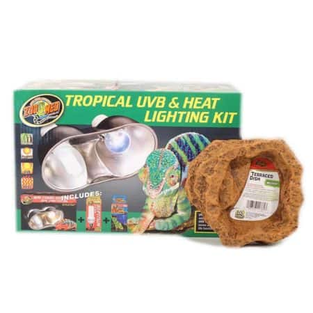 Chondro Python Setup For Sale - Underground Reptiles