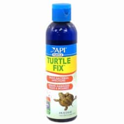 API Turtle Fix For Sale - Underground Reptiles