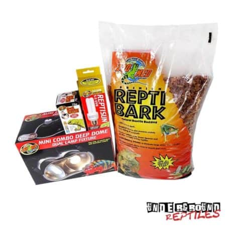 Frilled Dragon Setup For Sale - Underground Reptiles