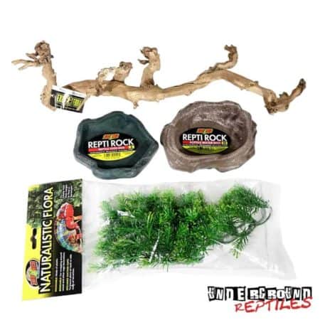 Frilled Dragon Setup For Sale - Underground Reptiles