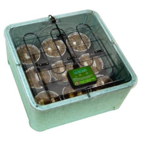 Egg Incubator for Reptile Eggs with Digital Thermostat and Humidity Control.