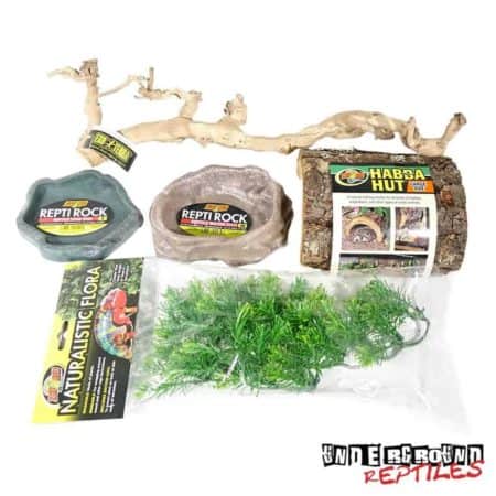 Rock/Rhino/Cyclura Iguana Setup For Sale - Underground Reptiles