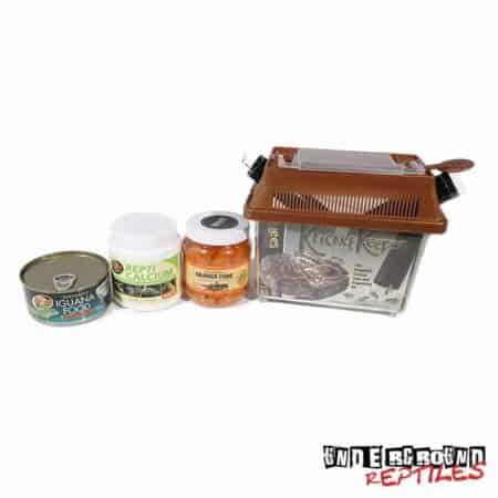 Rock/Rhino/Cyclura Iguana Setup For Sale - Underground Reptiles