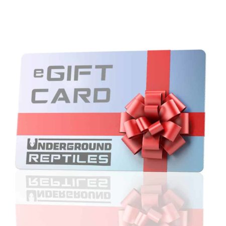 E-gift card for reptile supplies and accessories at Underground Reptiles. Perfect gift for reptile e.