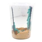 Hornworm Pods For Sale - Underground Reptiles