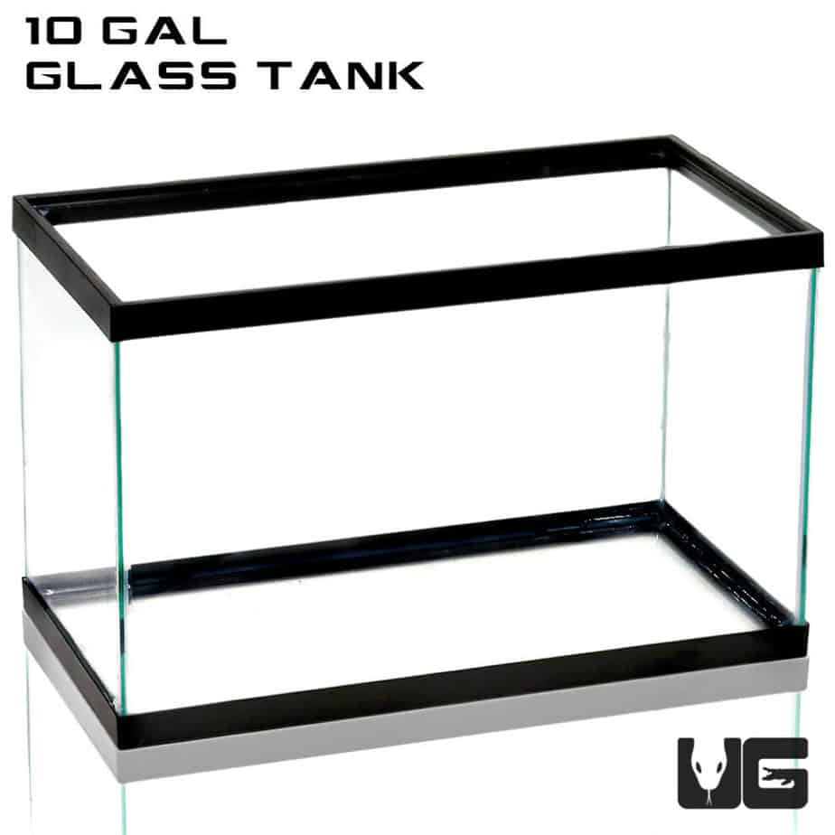 10 Gallon Glass Tank For Sale Underground Reptiles