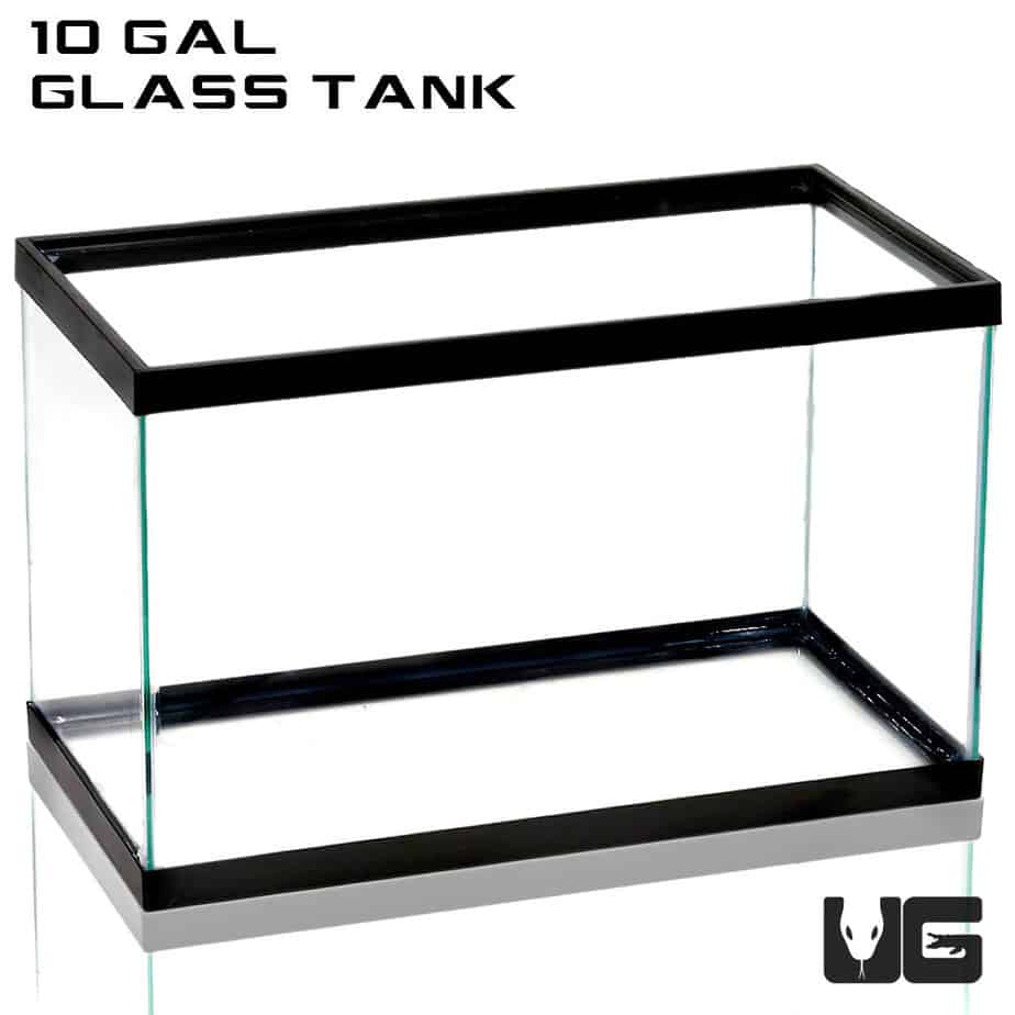 Verkoper Luiheid Okkernoot 10 Gallon Glass Tank For Sale - Underground Reptiles