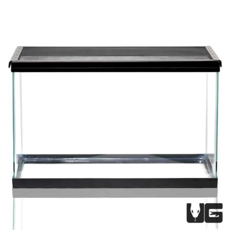 10 Gallon Glass Tank For Sale - Underground Reptiles