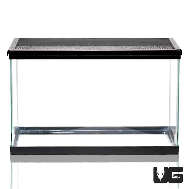 10 Gallon Glass Tank For Sale Underground Reptiles