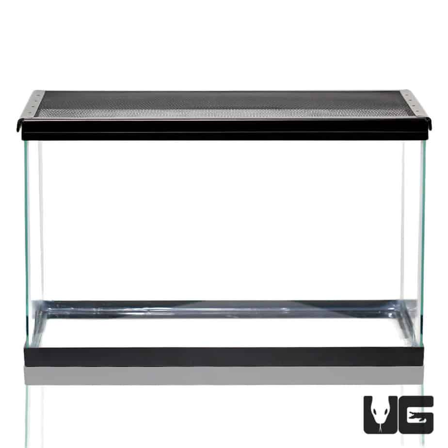 10 Gallon Glass Tank For Sale Underground Reptiles