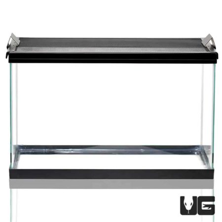 Compact 10-gallon reptile tank for small animals and aquatic pets. Perfect for beginner reptile enth.