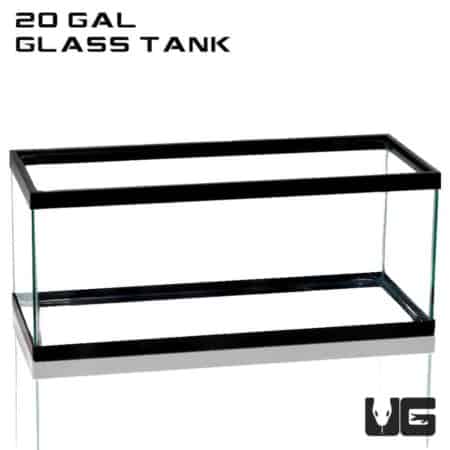 20 Gallon Glass Tank For Sale - Underground Reptiles