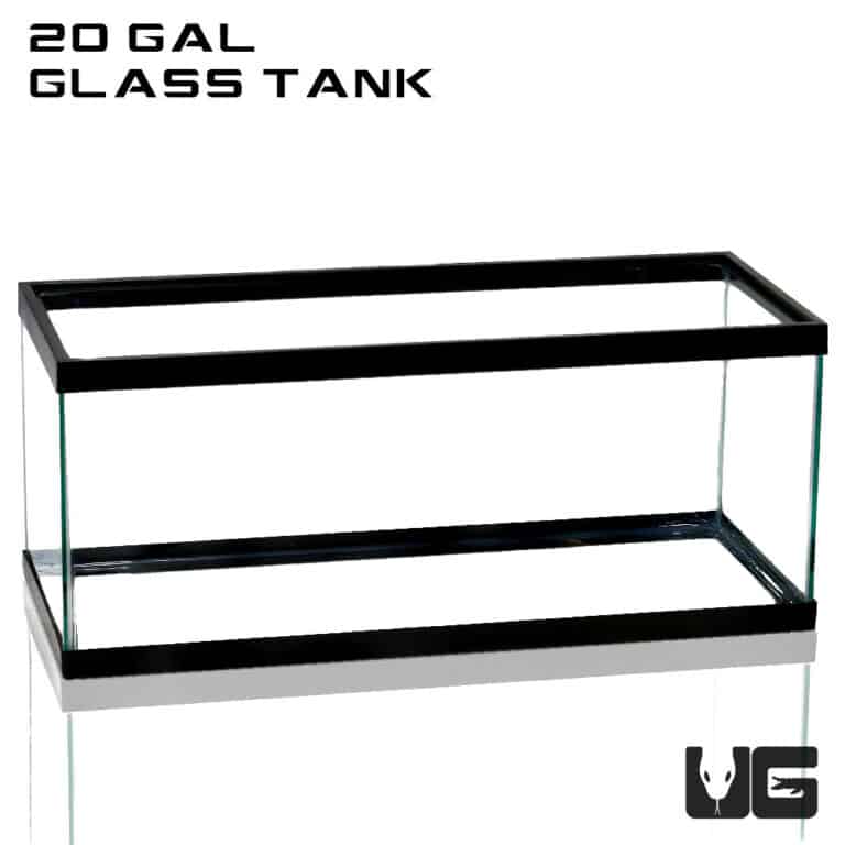 20 Gallon Glass Tank For Sale Underground Reptiles