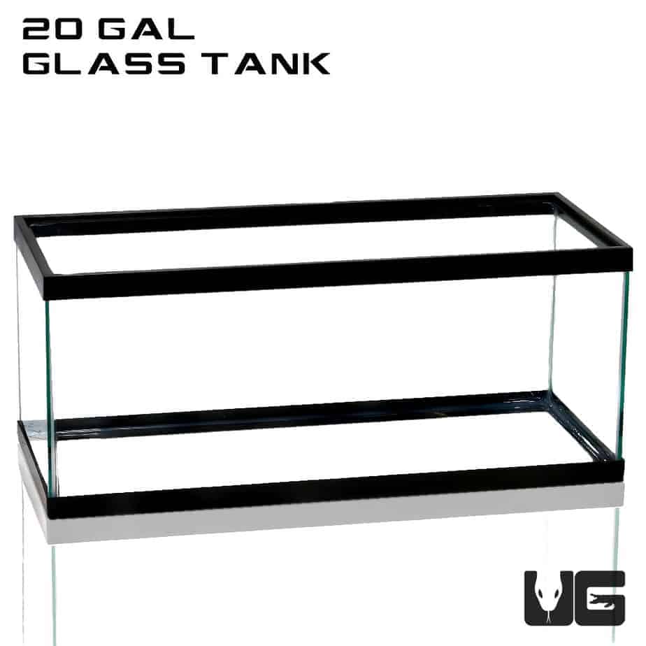 Knipoog ik heb nodig officieel 20 Gallon Glass Tank For Sale - Underground Reptiles