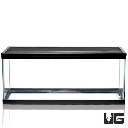 20 Gallon Glass Tank For Sale - Underground Reptiles