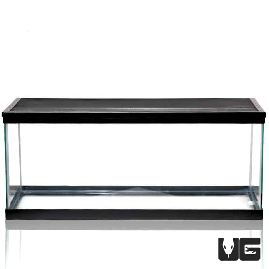 20 Gallon Glass Tank For Sale Underground Reptiles