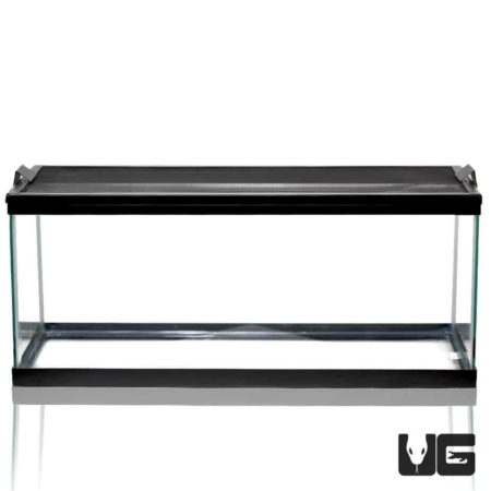 20 Gallon Glass Tank For Sale - Underground Reptiles