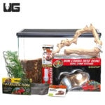 Baby Milksnake Setup - Underground Reptiles