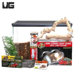 Baby Milksnake Setup - Underground Reptiles