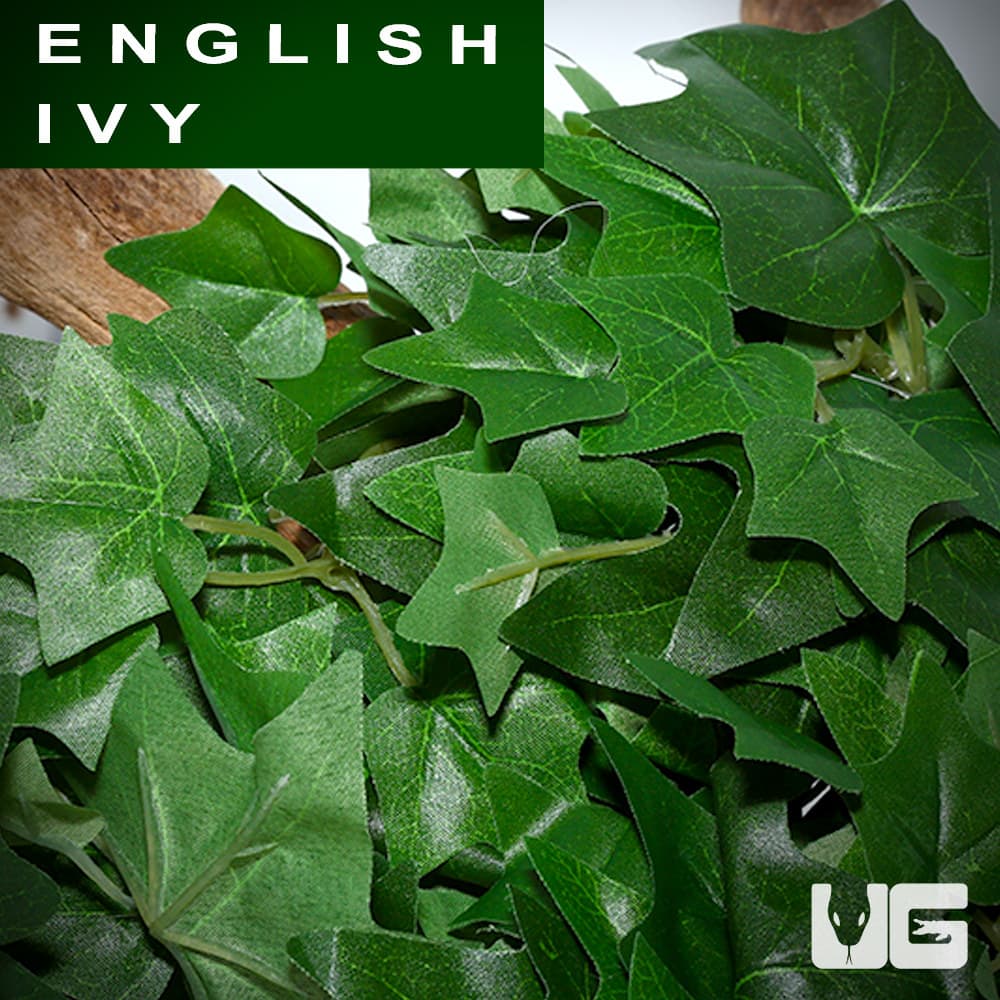 Flukers Repta Vines-English Ivy for Reptiles and Amphibians