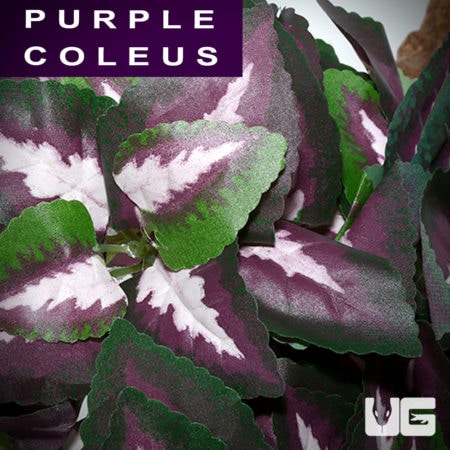 Fluker's Repta-Vines vines for sale - Underground Reptiles