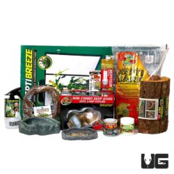 Iguana Set Up For Sale - Underground Reptiles