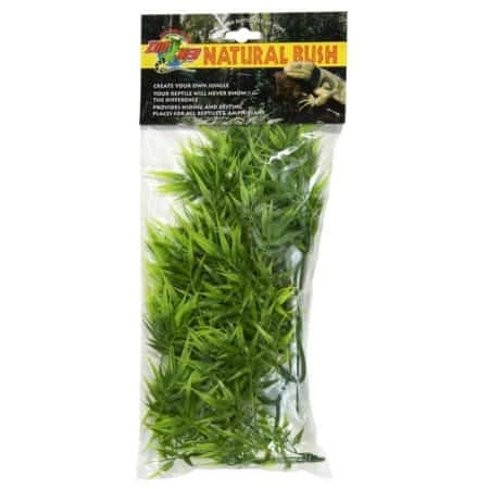 Reptile-safe Madagascar bamboo for terrariums and habitats. Perfect for creating natural environment.