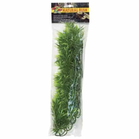 Madagascar Bamboo in clear packaging, ideal for reptile habitats.