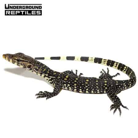 baby water monitor for sale