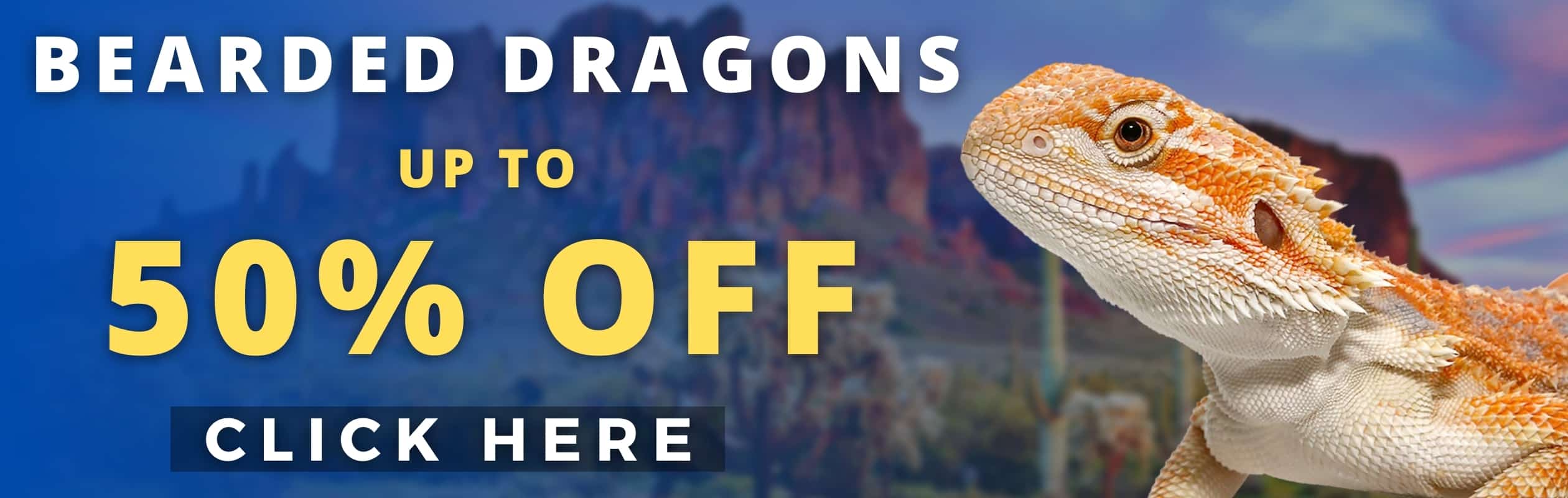 Underground Reptiles Exotic Reptiles, Amphibians, Lizards and Mammals