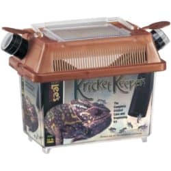 Feeder Insect Supplements & Supplies