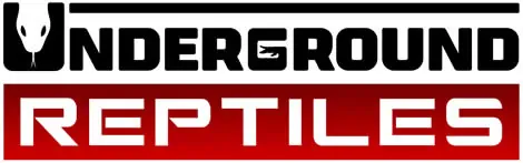 Underground Reptiles logo with bold text and reptile silhouette.