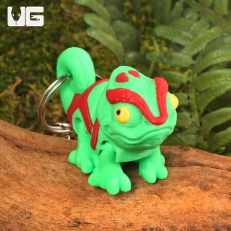 3D Printed Reptiles & Inverts – A New Dimension of Nature’s Wonders!