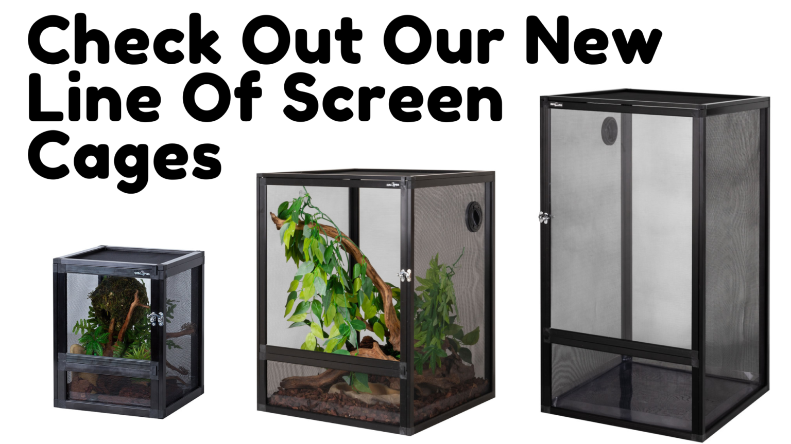 Underground Reptiles Exotic Reptiles, Amphibians, Lizards and Mammals