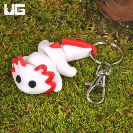 3D Printed Reptiles & Inverts – A New Dimension of Nature’s Wonders!