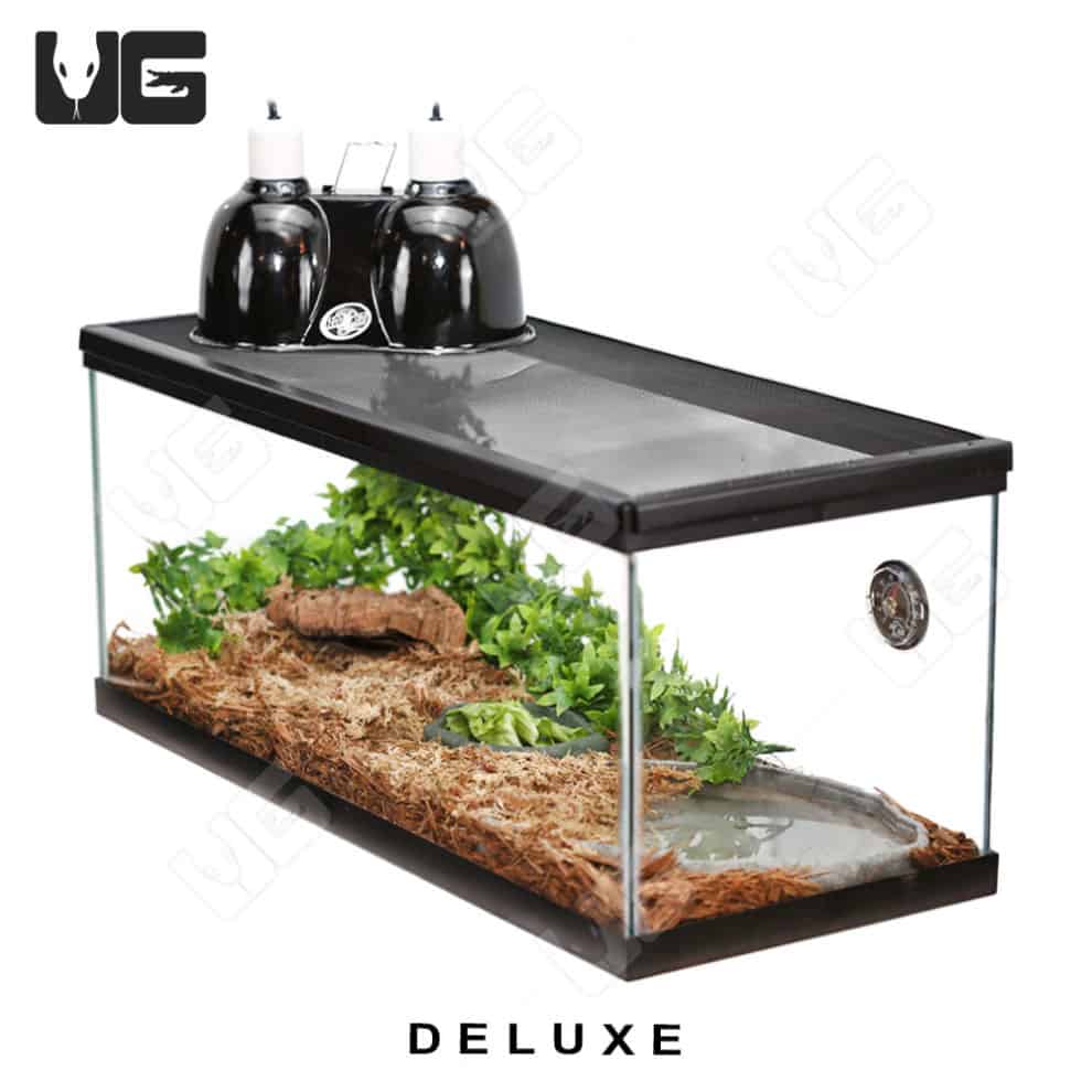 COMPLETE Baby Box Turtle Setup Underground Reptiles