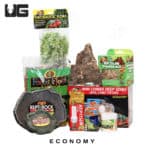 ug_economy_baby_box_turtle_setup_1