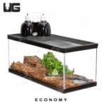 ug_economy_baby_box_turtle_setup_3
