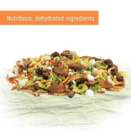 Reptile food mix with insects, vegetables, and supplements for optimal reptile nutrition.