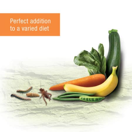 Healthy vegetable assortment with worms and a spider for reptile diet.