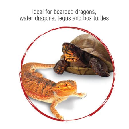 Reptiles ideal for bearded dragons, water dragons, tegus, and box turtles. Perfect for reptile enthu.