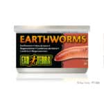 Earthworms for reptiles, fish, and bait, high-quality live earthworms from Exo Terra.