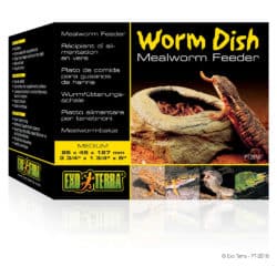Exo Terra Worm Dish & Feeder